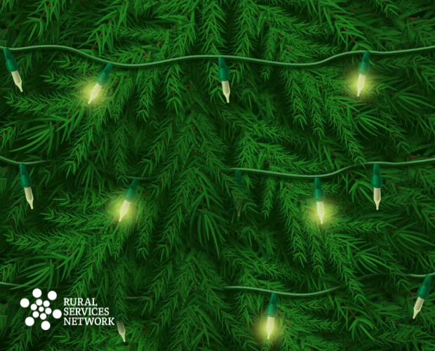 RSN: Our Year In Review