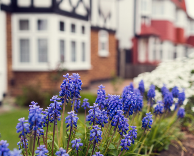 No Short Cuts To Neighbourhood Recovery